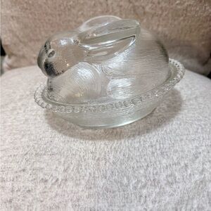 Clear Indiana Bunny on Nest